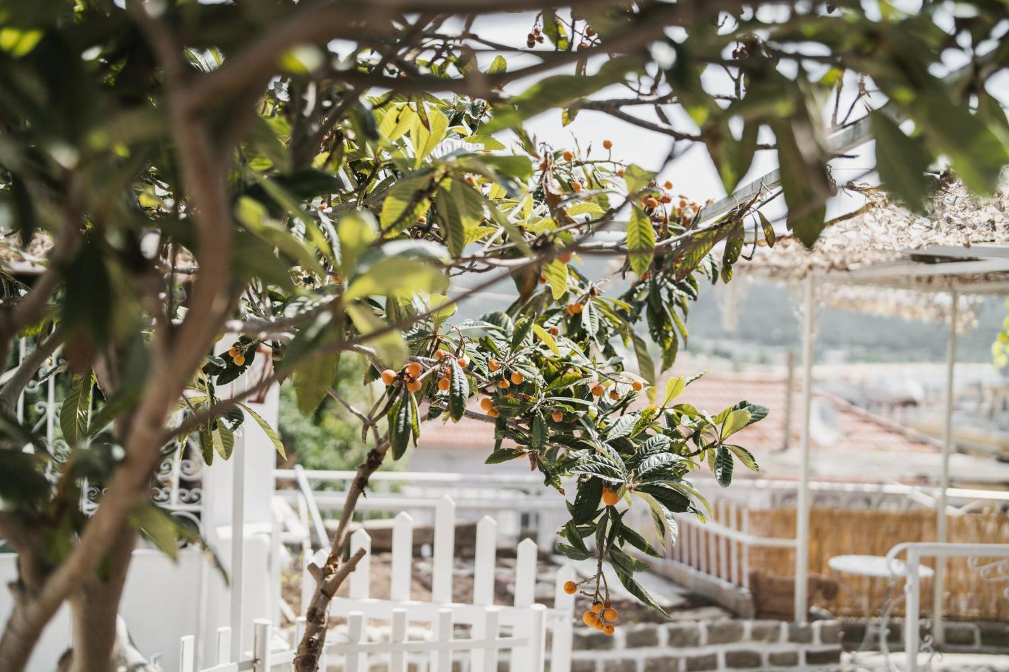 The Garden House Kavala