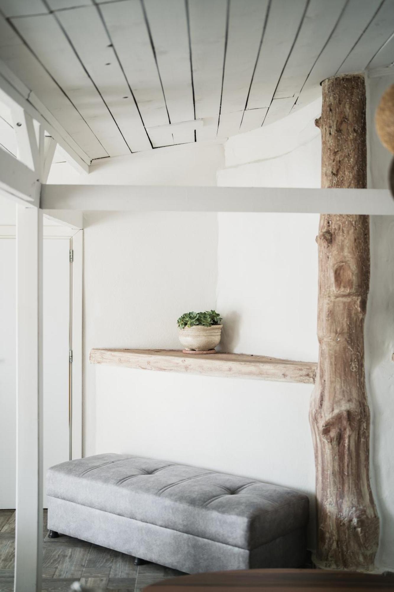 The Garden House *